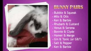 Names For Rabbits - 40 Super Cute Names For Rabbits