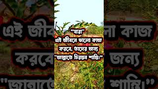 ভালো কাজের উপহার জান্নাত। #shorts #shortvideo #short #motivation #education #educational