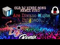 Are Diwano Mujhe Pehchano l DJ Remix l Music Industry