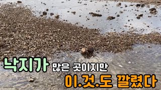 겨울에도 쉽게 해루질 할 수 있는곳