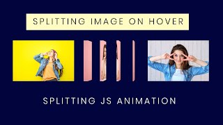 Splitting Image Animation on Hover | Splitting JS Tutorial