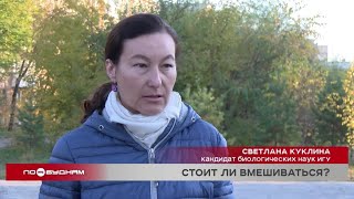 Мнения экспертов: рекультивация оврагов на Ольхоне: польза или вред природе?