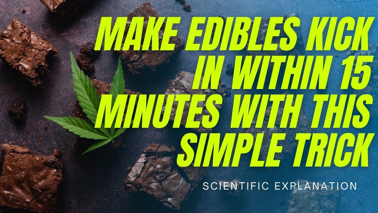 Why Does It Take So Long For Edibles To Kick In? (Science Explained ...