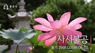 봉은사 사시불공(2024.08.12)