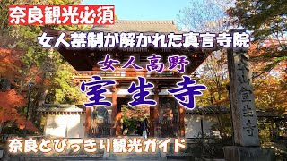 【室生寺】女人禁制が解かれた真言寺院　女人高野と呼ばれる古刹「室生寺」をご案内。室生寺は真言宗室生寺派の巨大な山岳寺院です。【奈良観光】