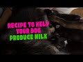 Recipe To Help Your Dog Produce Milk