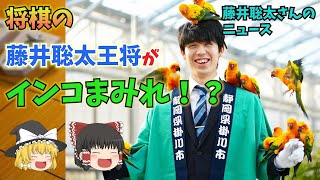 藤井聡太王将、インコまみれになってしまう【ゆっくり解説】【面白いニュース】