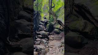 Meenmutty waterfalls | Kallar | Ponmudi | Kerala | Trivandrum | Forest #kerala #shorts #travel #2023