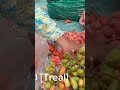 treal fruit ផ្លែទ្រៀល shorts