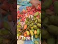 treal fruit ផ្លែទ្រៀល shorts