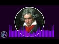 beethoven piano sonata 8 op.13 iii. rondo allegro @classicalawesome beethoven sonata