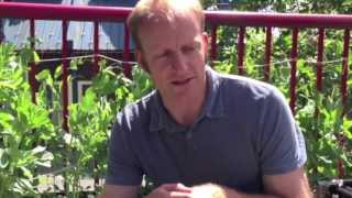 Bowen Island Patio Garden Part 1