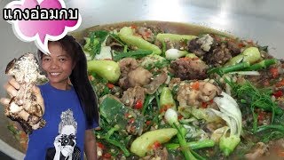 สูตรแกงอ่อมกบ รสแซ่บ ใส่ปลาร้ารสนัวๆ  แซ่บจนเพื่อนบ้านกินไม่หยุดเลย!! วิธีทำอยู่ในคลิปจร้า