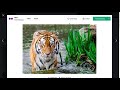 Event Handling with AWS Lambda