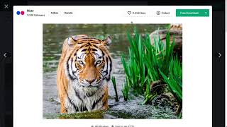 Event Handling with AWS Lambda