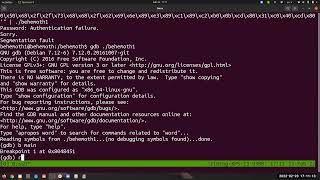 W4L2 Buffer Overflow