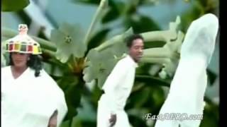 Berhe Meshesh  Eritrea Guyla song   YouTube