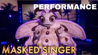 Poodle Moth sings “Unwritten” by Natasha Bedingfield (The Hills)” | The Masked Singer | Season 11