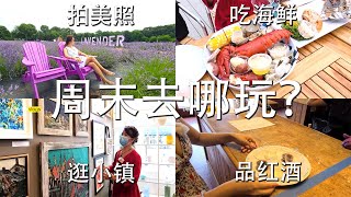 纽约周末去哪玩？薰衣草，吃海鲜，品红酒 纽约日记7月12日 Lavender By The Bay New York Diary Sunday, July 12, 2020