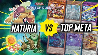 Naturia vs Mata Decks! Rank Match | Master Duel | Season 24 2024