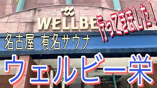 【サウナ】日本一冷たい水風呂！「ウェルビー栄」に行ってきました！【充実した水風呂】2022.6.14