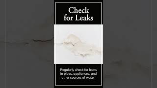 Water Damage Tips Check For Leaks