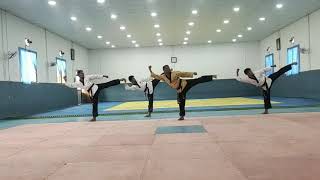 NPC Team Performing Ilyeo Poomsae (No 17) with Master Laxman