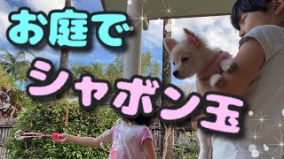 【子犬が初めてのシャボン玉】ルナ(生後12週)と9歳\u00267歳の娘