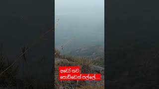 අඩො තව පොඩ්ඩෙන් ....