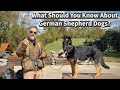 What Should People Know About German Shepherd Dogs?