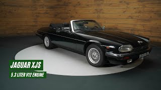 Jaguar XJS Cabriolet | Triple Black | V12 | 1990 -VIDEO- www.ERclassics.com