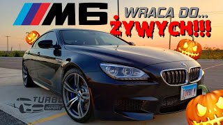 VLOG Oględziny Copart Chicago - BMW M6 i masa innych ciekawych aut (Część 1/2)