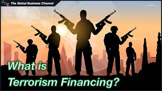 What Is Terrorist Financing? | Methods, Sources & Global Countermeasures Explained