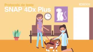 [Desatualizado] Protocolo de Teste - IDEXX SNAP 4Dx Plus