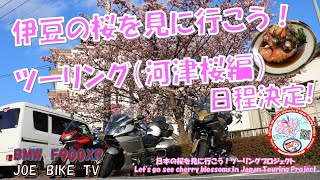 伊豆の桜を見に行こうツーリング！日程告知 0218