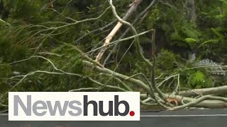 Cyclone Gabrielle in Northland, NZ: Power outages, state of emergency declared | Newshub