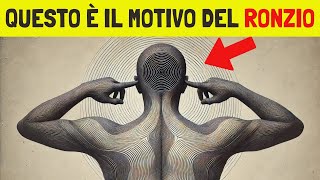 Sono stati rivelati i significati spirituali del ronzio nell'orecchio che NON TI ASPETTI!