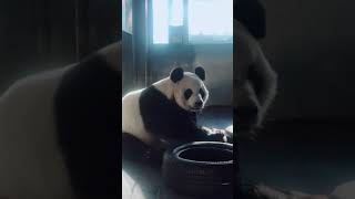 Panda Jin Hu-I need a dry massage.