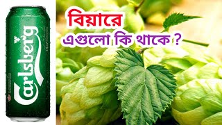 Materials of Beer || কি দিয়ে বিয়ার তৈরী করা হয়