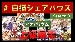 【白猫プロジェクト】白猫シェアハウス3　アクアリウム　上級展示（SS）