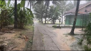 heavy rain accompanied by lightning and strong winds | very risky journey | Bocah BBJ