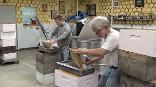 Harvesting over 300 pounds of honey in December: The whole process.