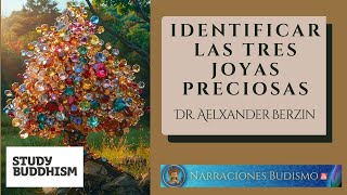 Identificar las Tres Joyas Preciosas - Dr. Alexander Berzin - Study Buddhism