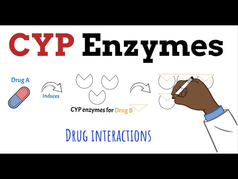 What is the role of cytochrome P450 in drug metabolism?