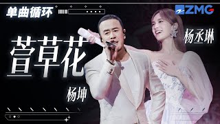 单曲循环丨杨丞琳\u0026杨坤《萱草花》 「 如果有一天 心事去了远方 摘朵花瓣做翅膀 迎着风飞扬 」