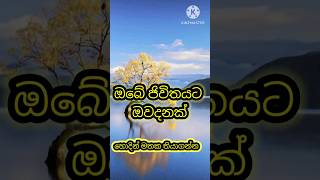 ජිවිතයට වැදගත් වෙවි මෙය හොදින් මතක තබාගන්න