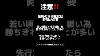 【60秒血統勉強】ハーツクライ編#shorts #競馬 #ハーツクライ#一口馬主#血統 #リスグラシュー#ドウデュース#シュヴァルグラン#ジャスタウェイ#ウマ娘