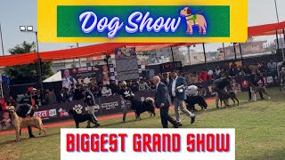 Jaipur dog show 2024 | dog show | all dogs | dogs