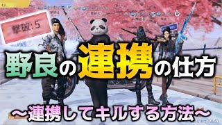 【荒野行動】野良で連携してキルを取るコツ！最初から最後まで解説します〜知りたいをカタチにする返答編Part4〜