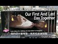 世界在改變：公路出現揭穿牛奶殘酷真相的廣告 awesome vegan campaign